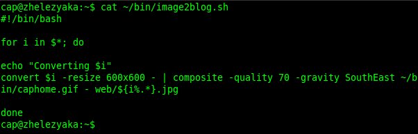 bash script