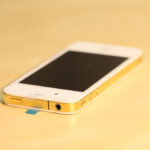 IMG_9998 IMG_9998
