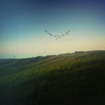 autumn-flight autumn-flight