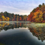 fall-mobile-hdr fall-mobile-hdr