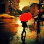 singing-in-rain singing-in-rain